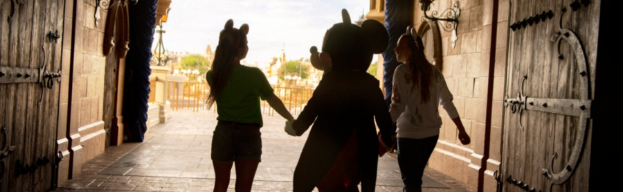 Walt Disney World Promoção 2 dias 2 parques (Epcot e Disney’s Animal Kingdom Theme Park)
